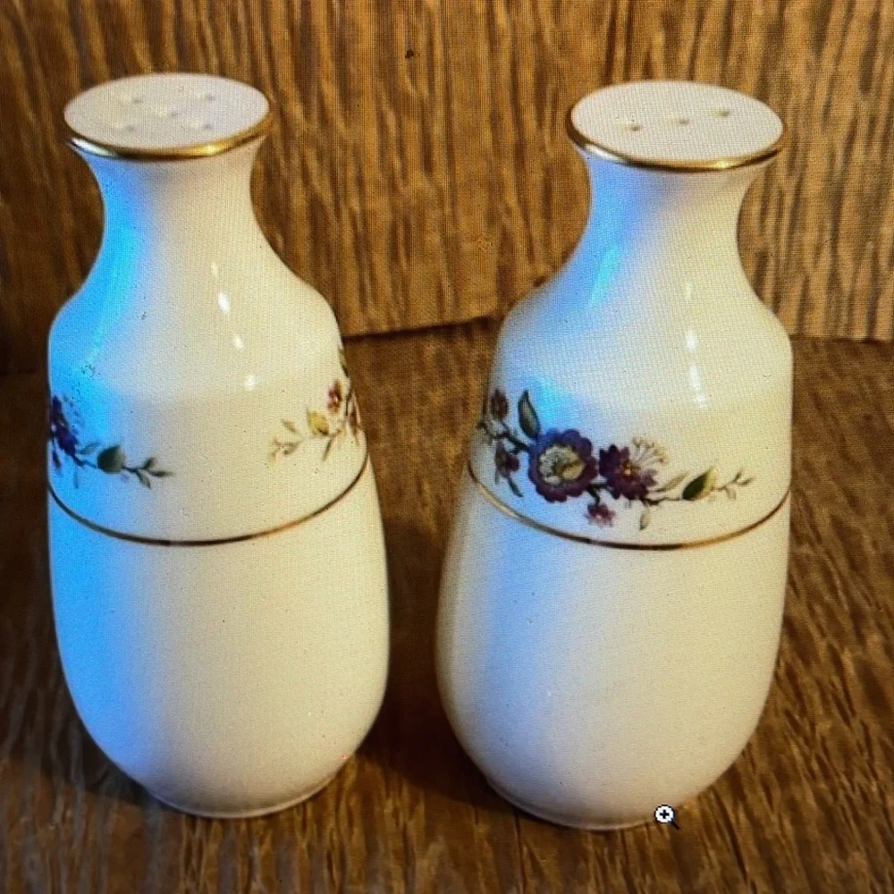 VTG Noritake Ivory Asian Song Salt and Pepper Shaker Set